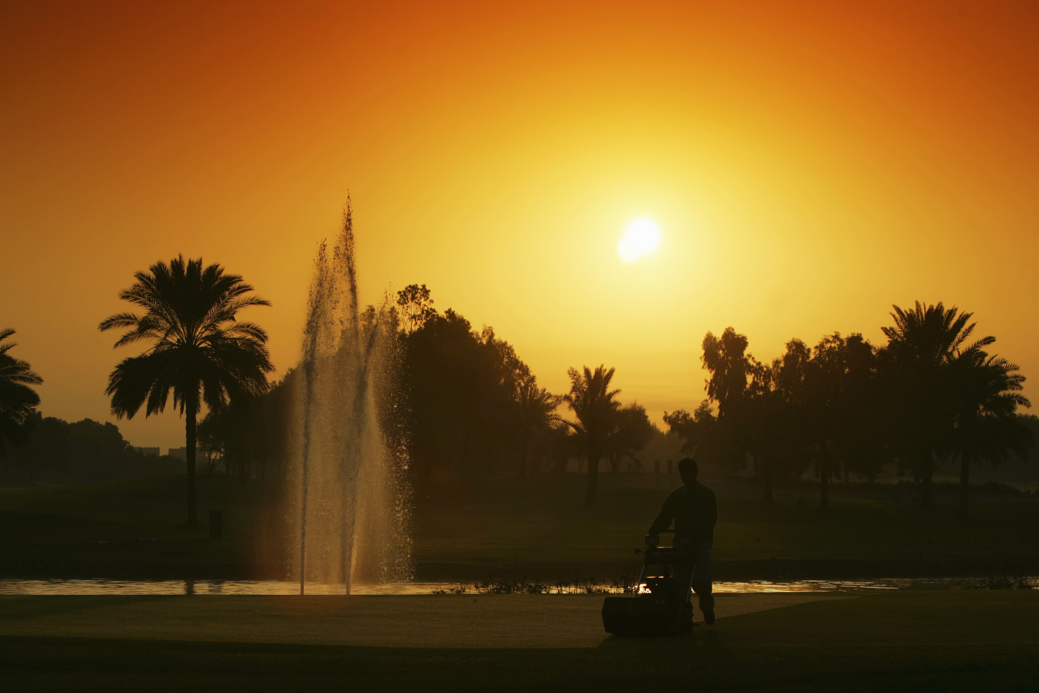 Emirates Golf Club's Majlis Course: Behind the Scenes of Hero Dubai Desert Classic Preparations