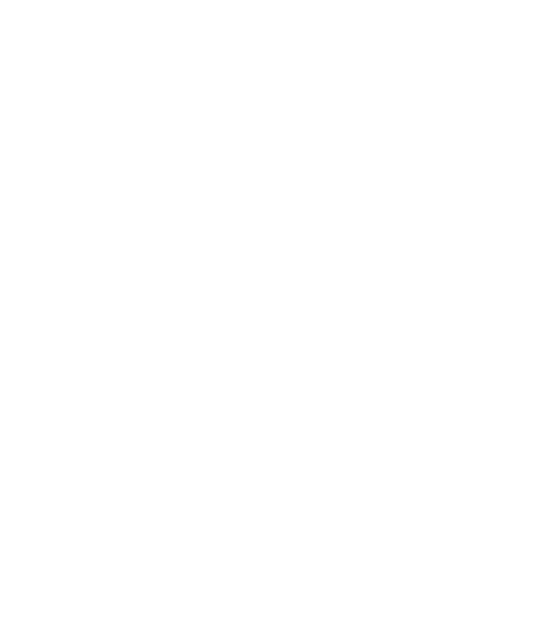 Geo Certified Logo